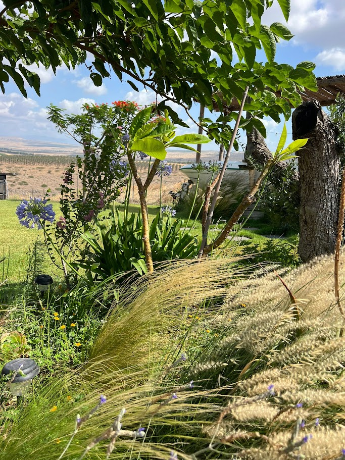 תלתן פעילות סביבתית